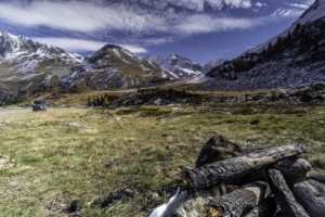 Living-the-dream-01-Kopie